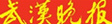 漢網-武漢晚報