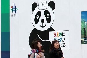 Panda fever in Japan