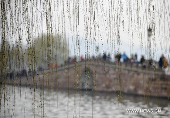 Enjoy spring scenery in West Lake