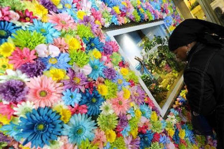 Macy's Flower Show kicks off in New York