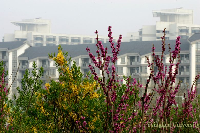 The redbud student dormitory in spring