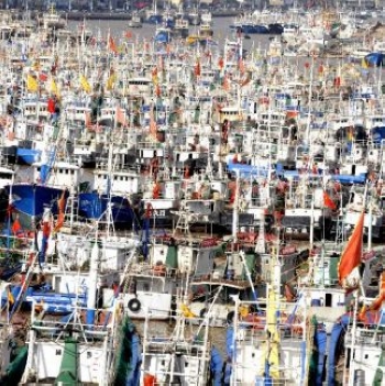 Zhejiang prepare for likely landfall of Muifa