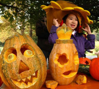 Pumpkin lamp creation