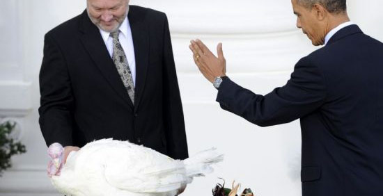Obama pardons 2011 Thanksgiving Turkey