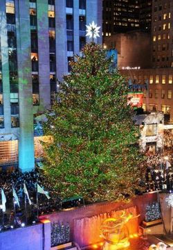 Giant Christmas tree in New York