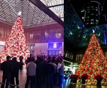 Christmas tree light-ups