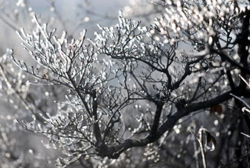 2009 Winter Sightseeing