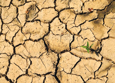 Severe drought hits China (2011.2)