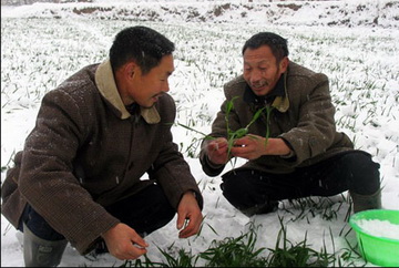Severe drought hits N China (2009.2)