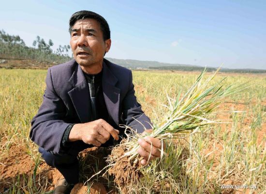 Drought affects 6 mln in SW China's Yunnan