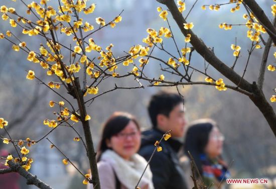 Spring drawing near in Wuhan