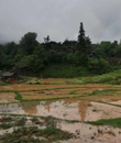 Guizhou