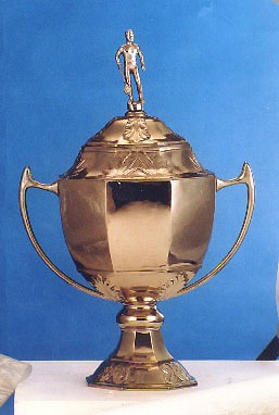 About Thomas Cup