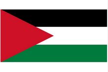 The Palestinian flag